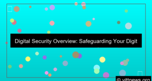 digital security overview