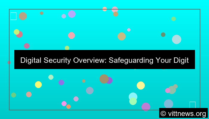 digital security overview