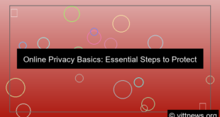 gambar online privacy basics