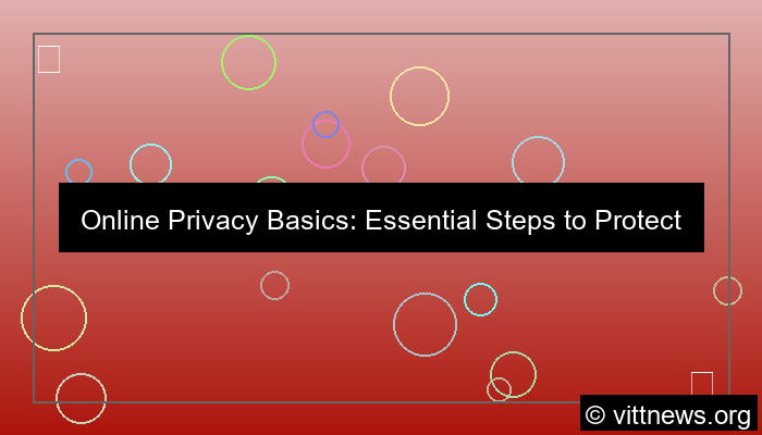 gambar online privacy basics