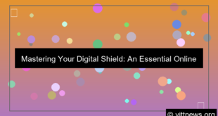 ilustrasi online security overview